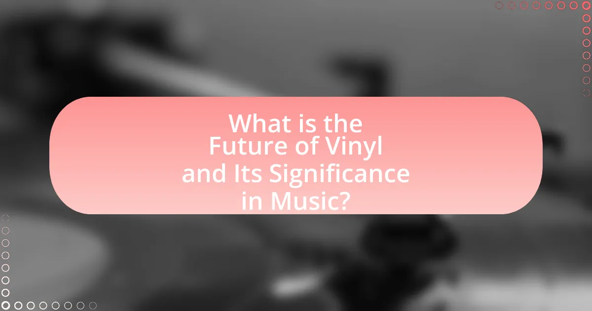 What is the Future of Vinyl and Its Significance in Music?